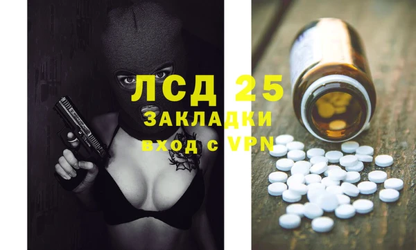 PSILOCYBIN Волосово