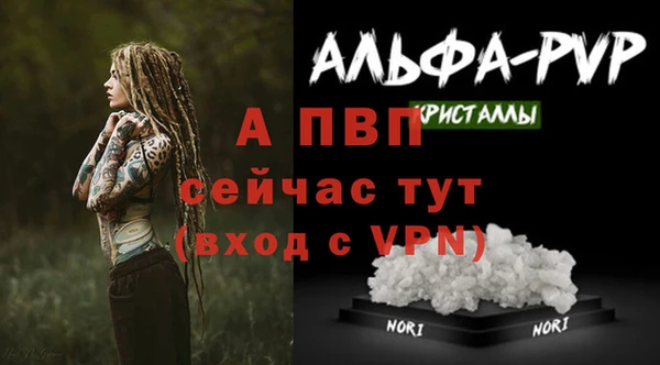 PSILOCYBIN Волосово