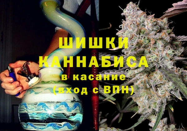 PSILOCYBIN Волосово