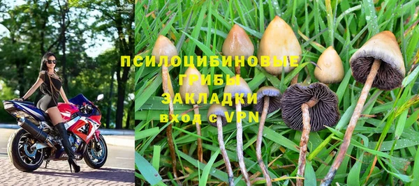 прущая мука Верея