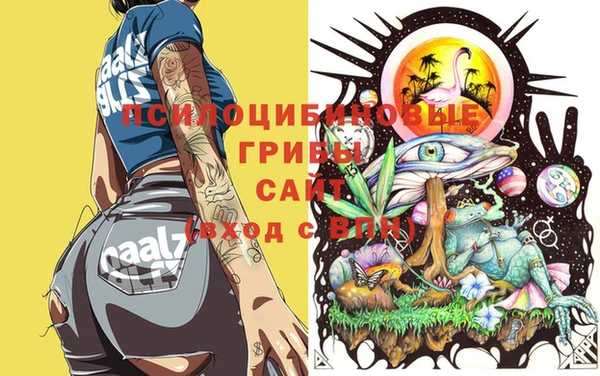 тгк Верхний Тагил