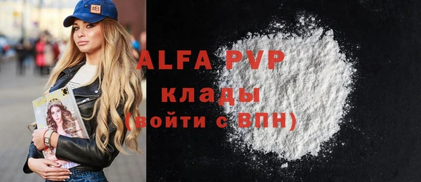 PSILOCYBIN Волосово