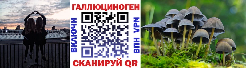 Псилоцибиновые грибы прущие грибы  купить наркоту  blacksprut маркетплейс  Камышлов 